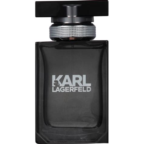 karl lagerfeld perfumes for men.